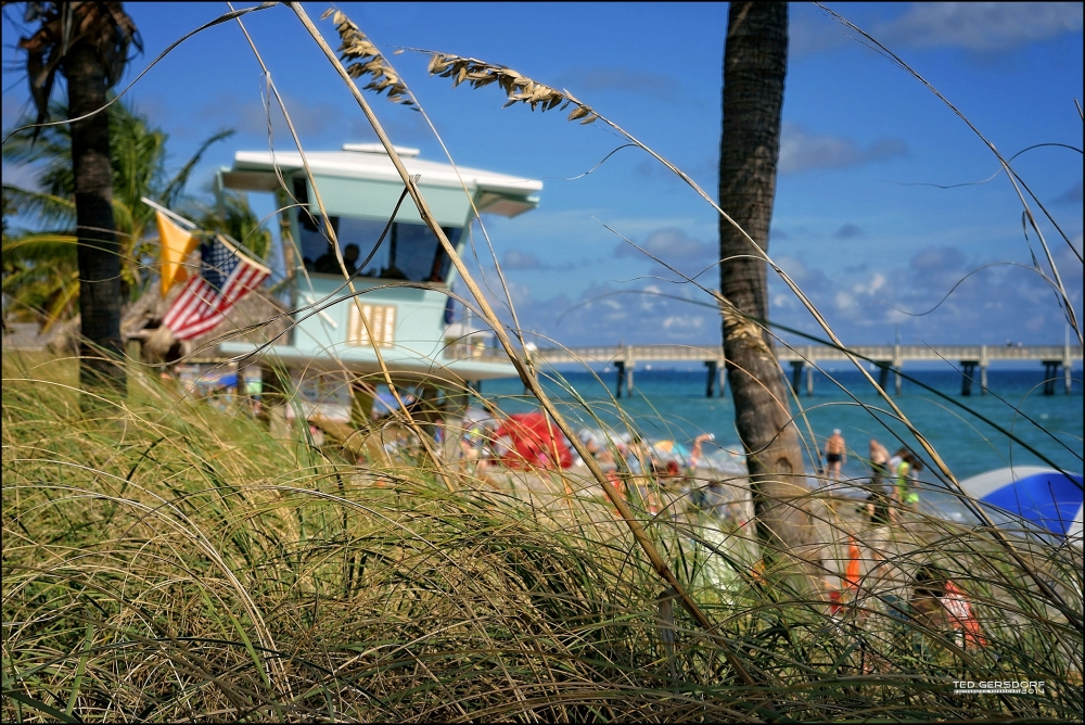 Dania Beach 1_3101.JPG