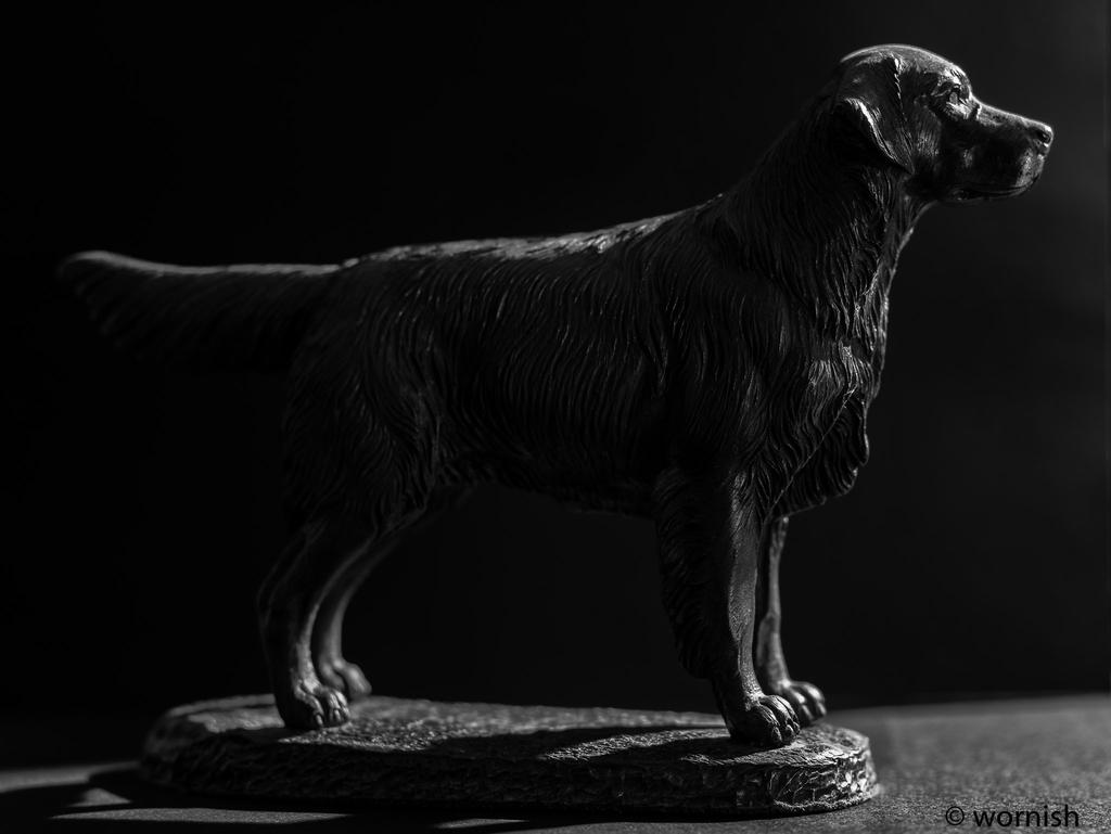 Dark B&W.jpg