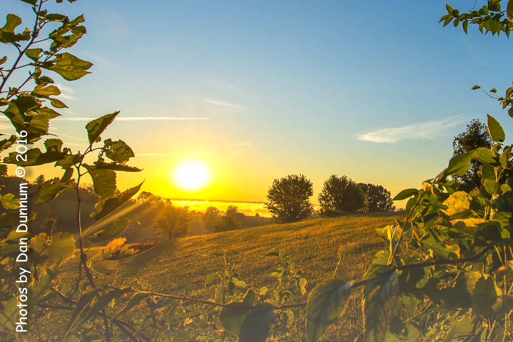 Dawn-4252-Edit.jpg