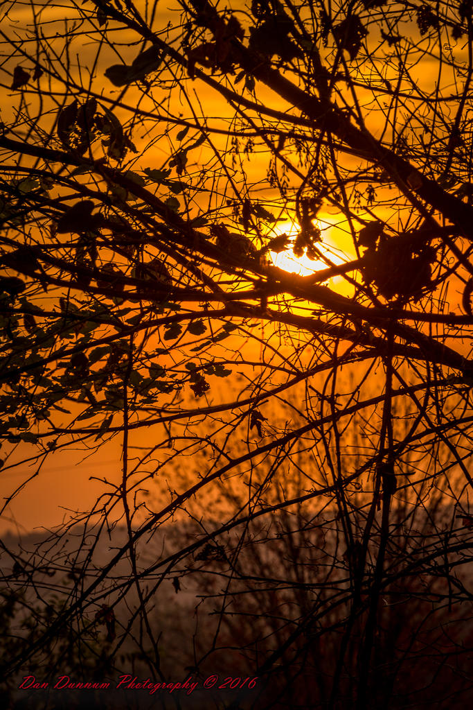 Dawn-6651.jpg