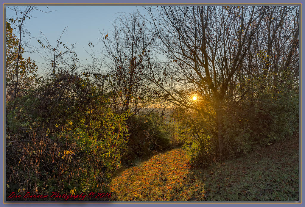 Dawn-6907.jpg