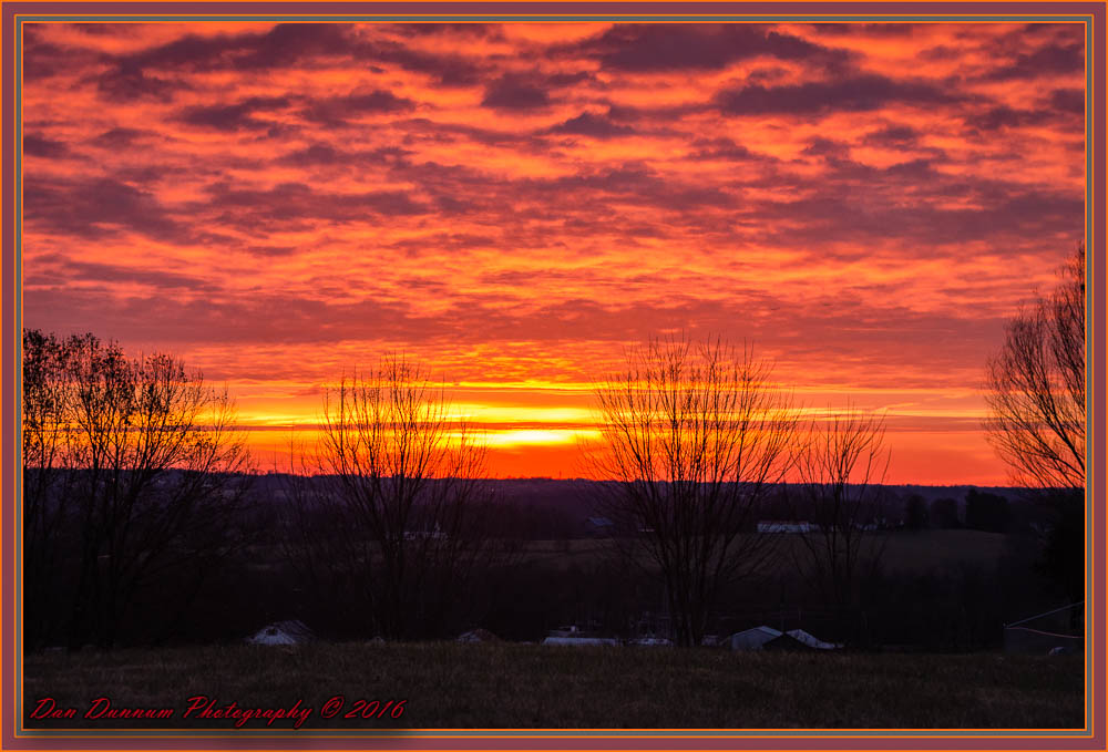 Dawn-8461-Edit.jpg