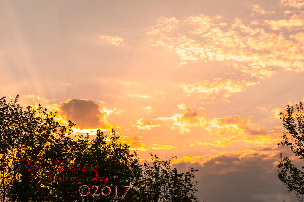 Dawn of a New Day-4912.jpg