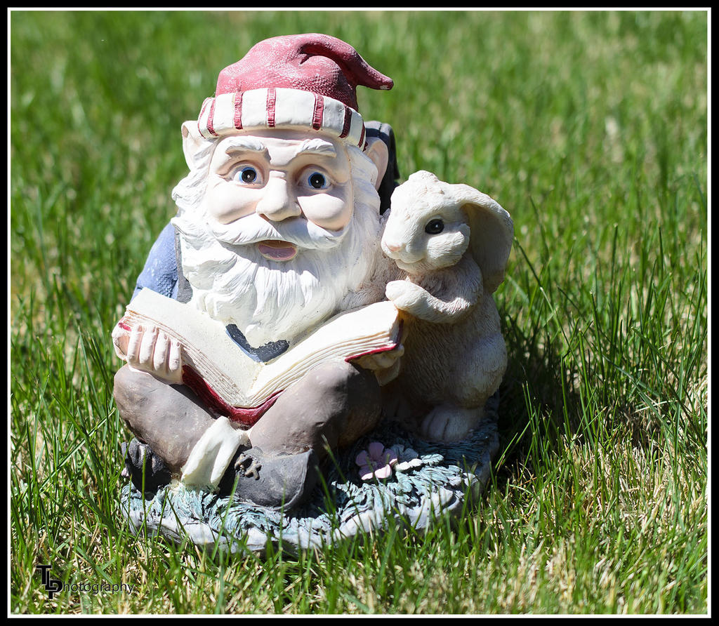 Day 102 Garden Gnome.jpg