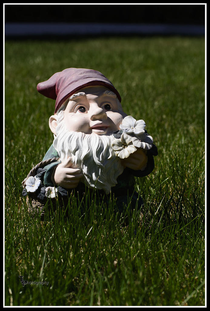 Day 103 Garden Gnome.jpg