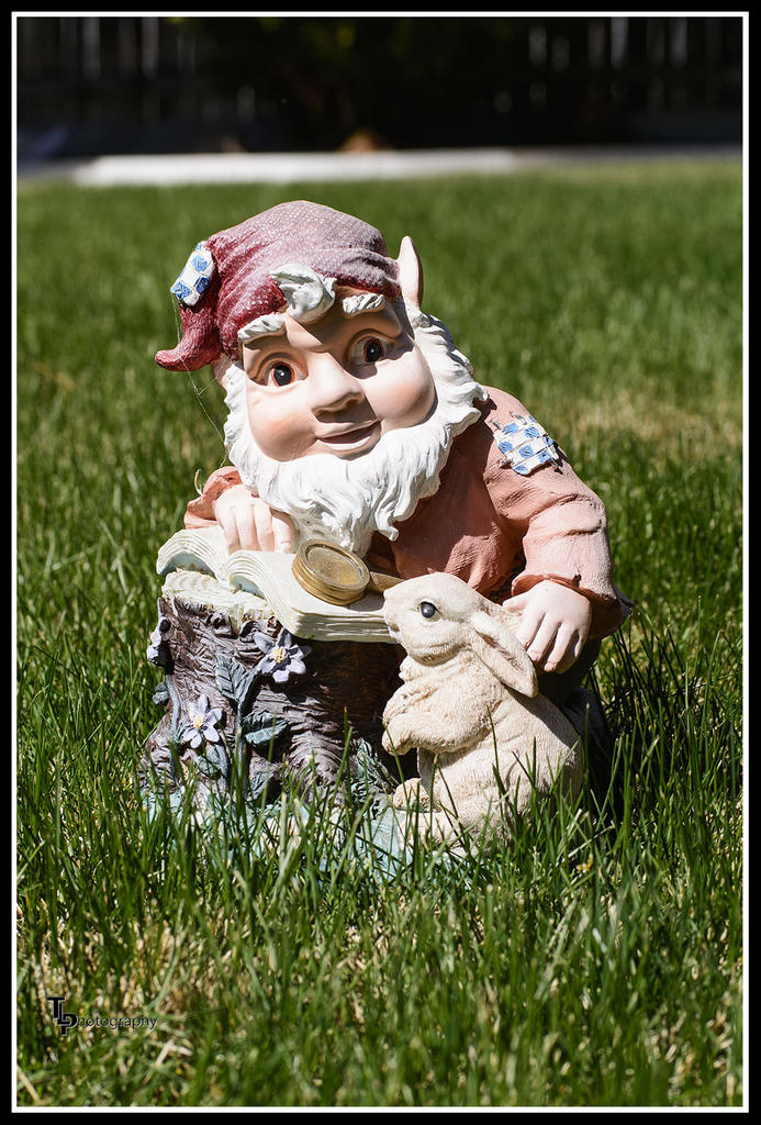 Day 104 Garden Gnome  1.jpg