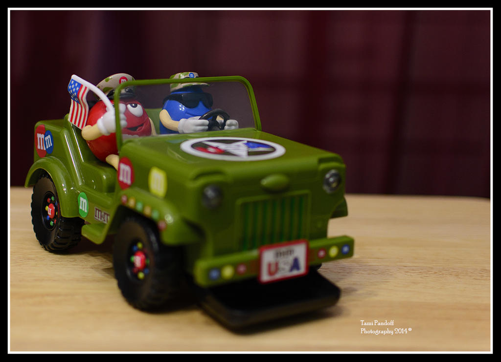 Day 15 jeep picture.jpg