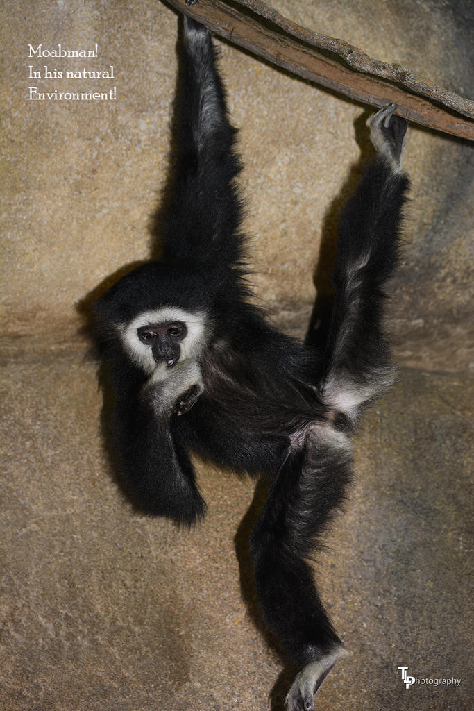 Day 151 Moabman in his natural environment.jpg