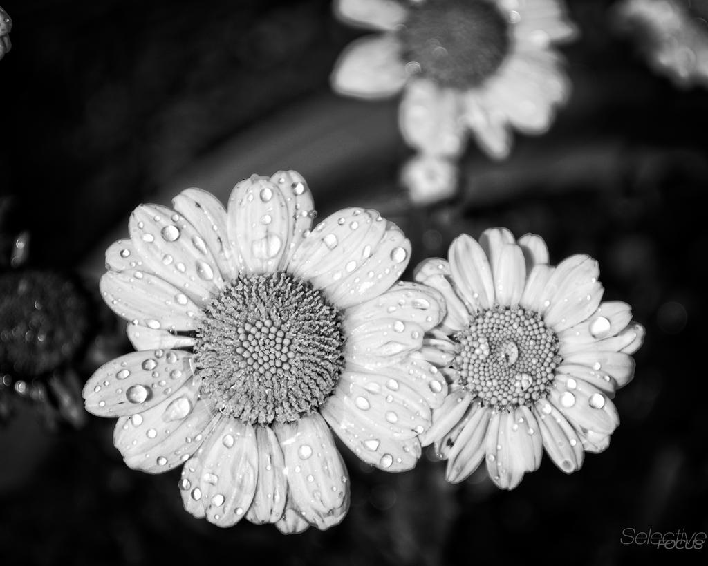 Day 221-3.jpg