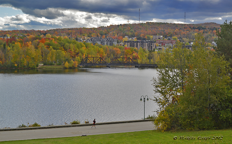day 283 Sherbrooke.jpg