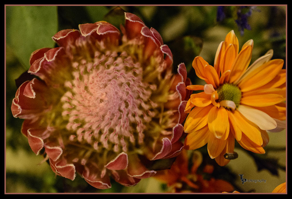 Day 40 Flower Whole.jpg