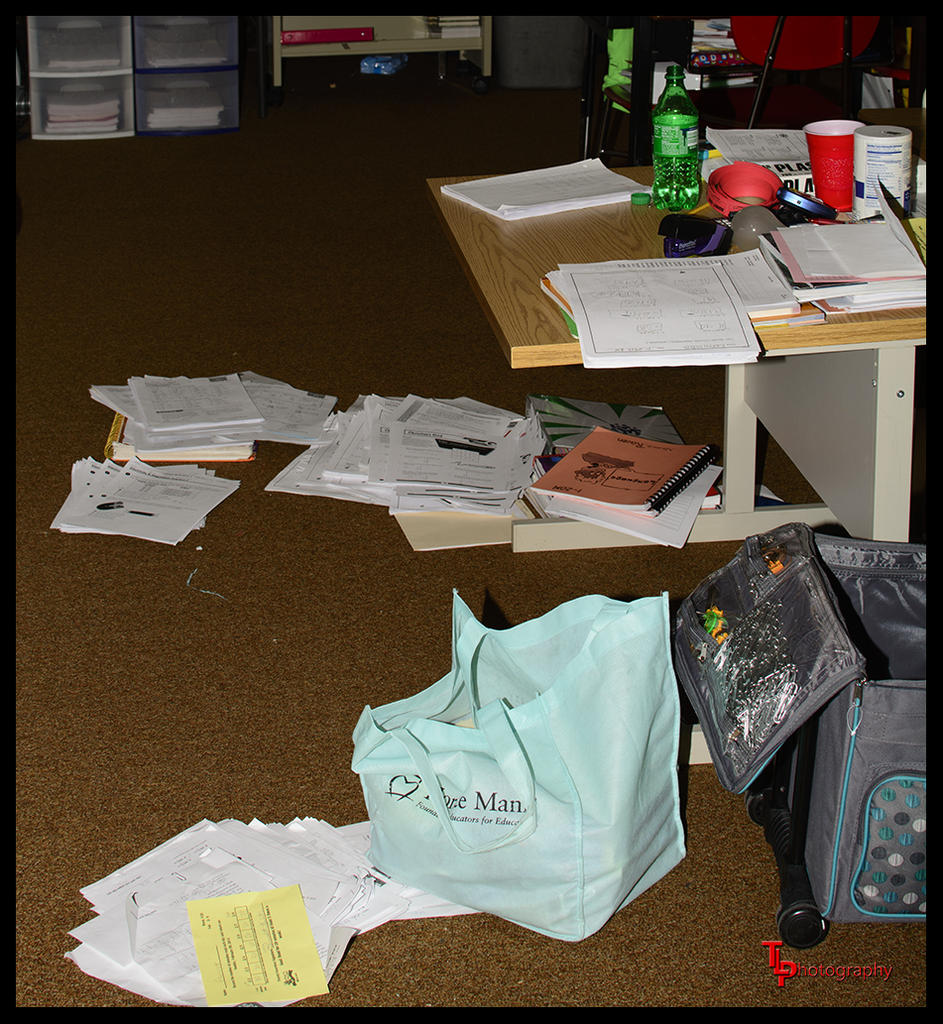 Day 43 Lost in Paperwork.jpg
