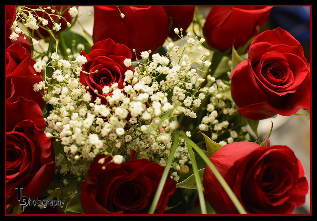 Day 45 Flowers.jpg