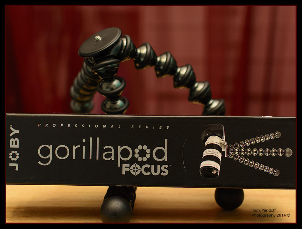 Day 7 Gorilla Pod.jpg