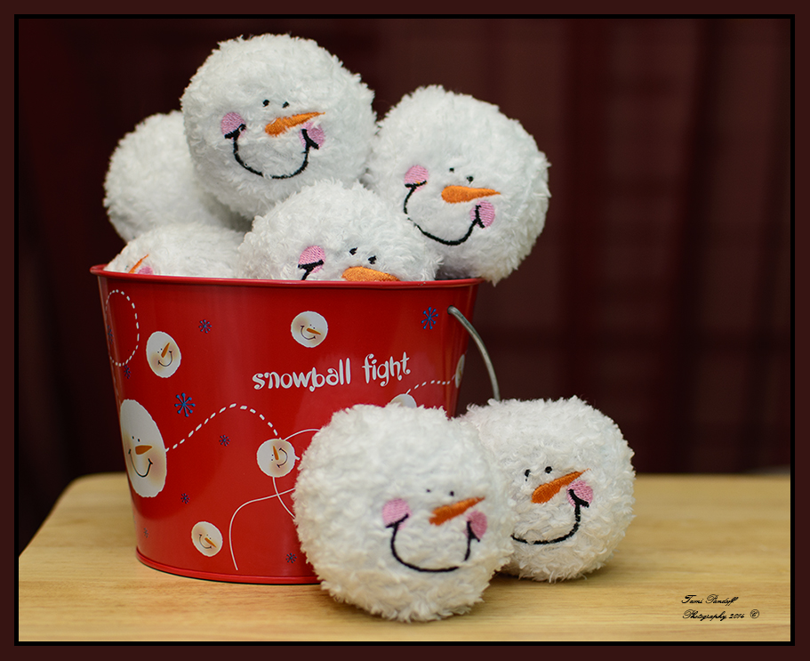 Day 8 Snowball Fight.jpg