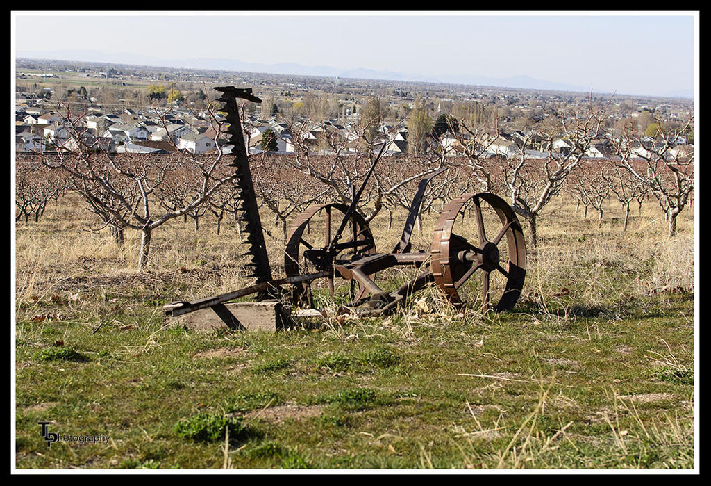 Day 83 Farm Equipment.jpg