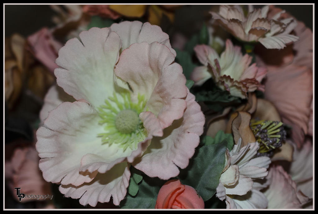 Day 99 Flower.jpg