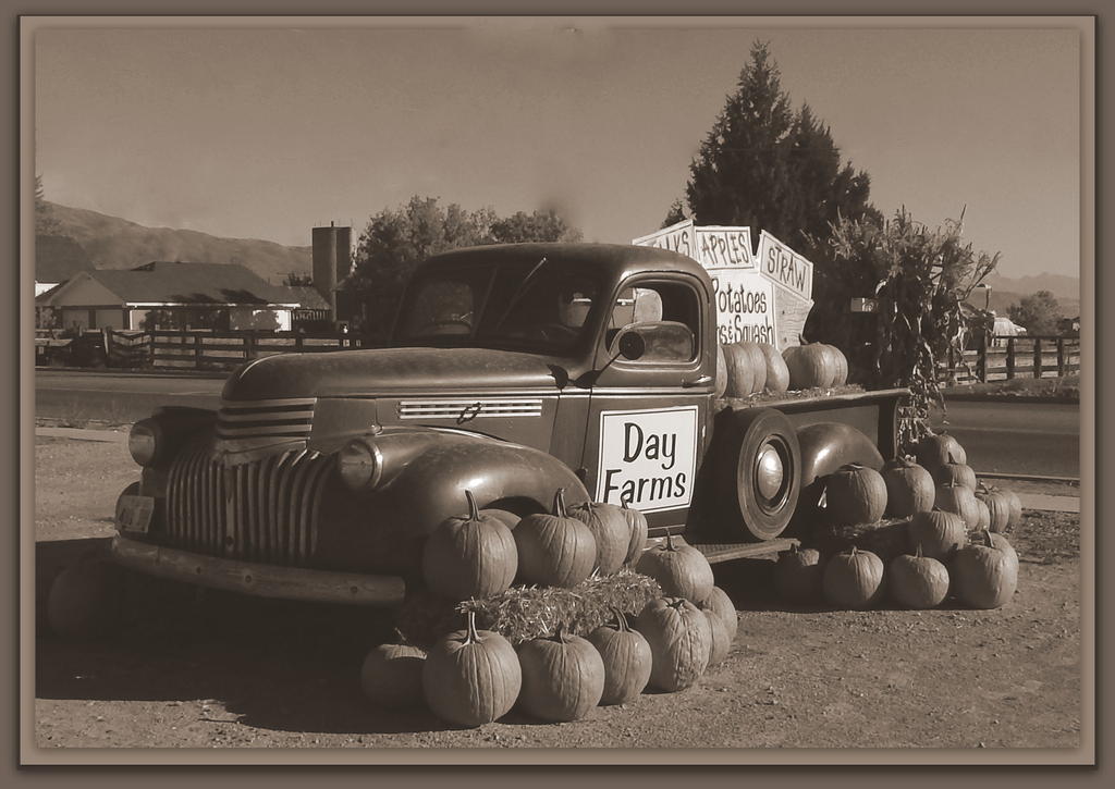Day Farms Harvest 2.jpg