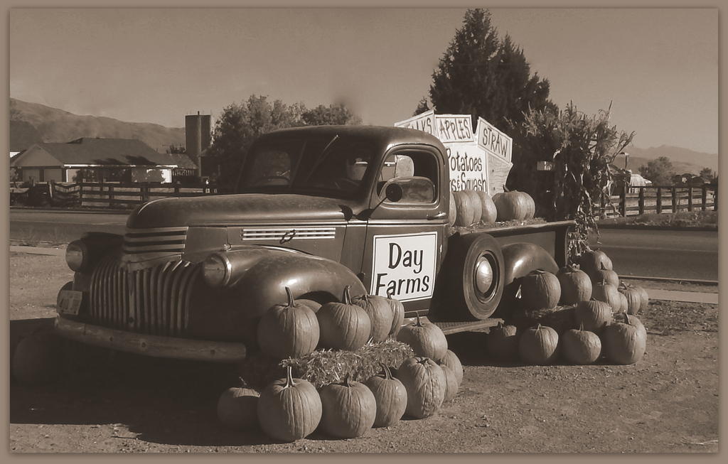 Day Farms Harvest.jpg
