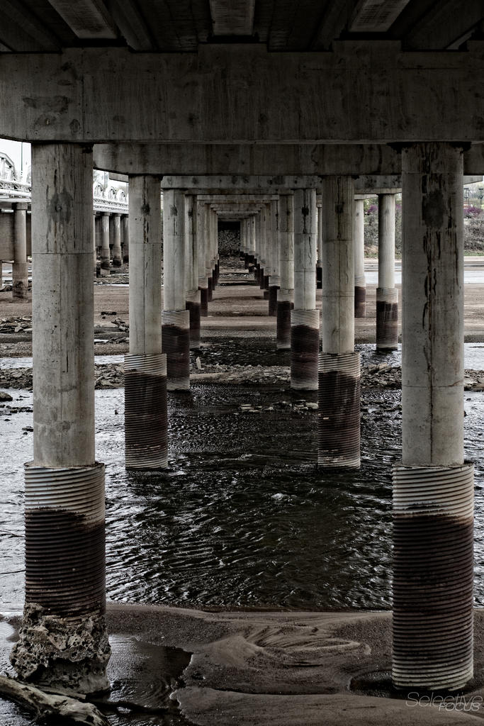 Day103-4.jpg