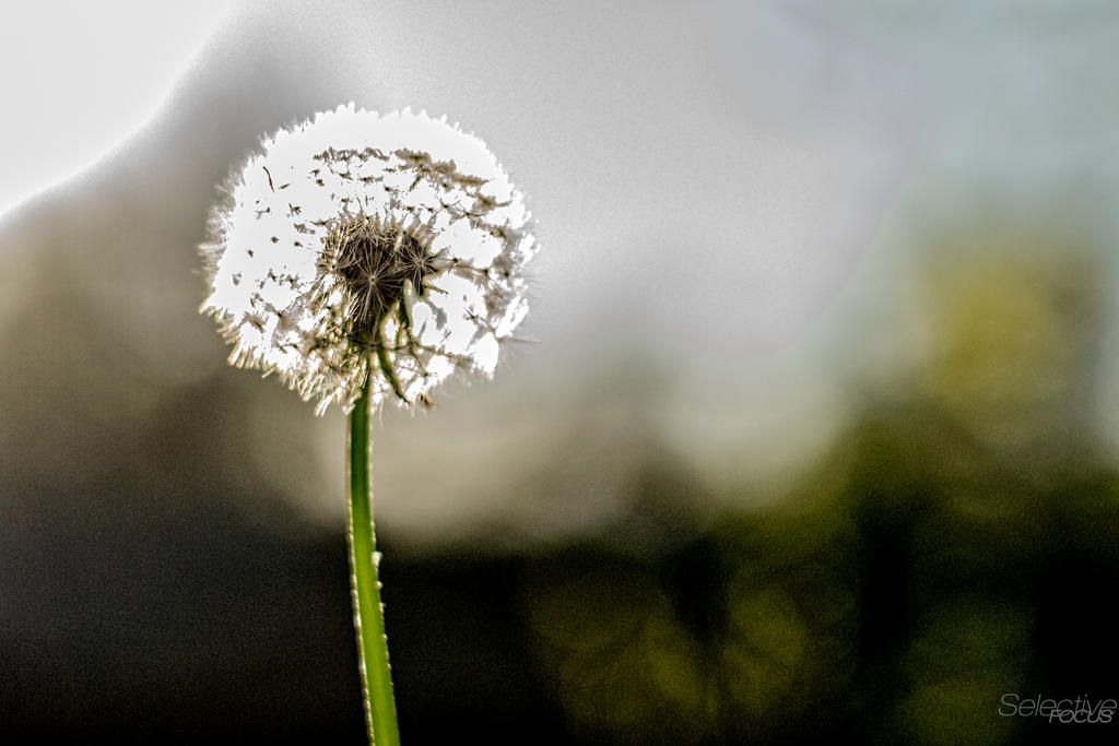 Day104-2.jpg