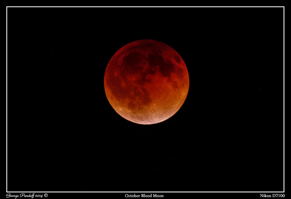 Day105BloodMoon.jpg