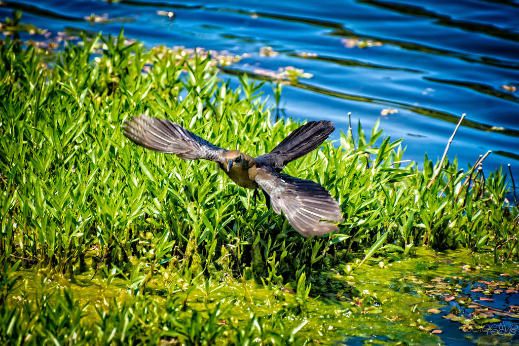 Day122-1Smaller.jpg
