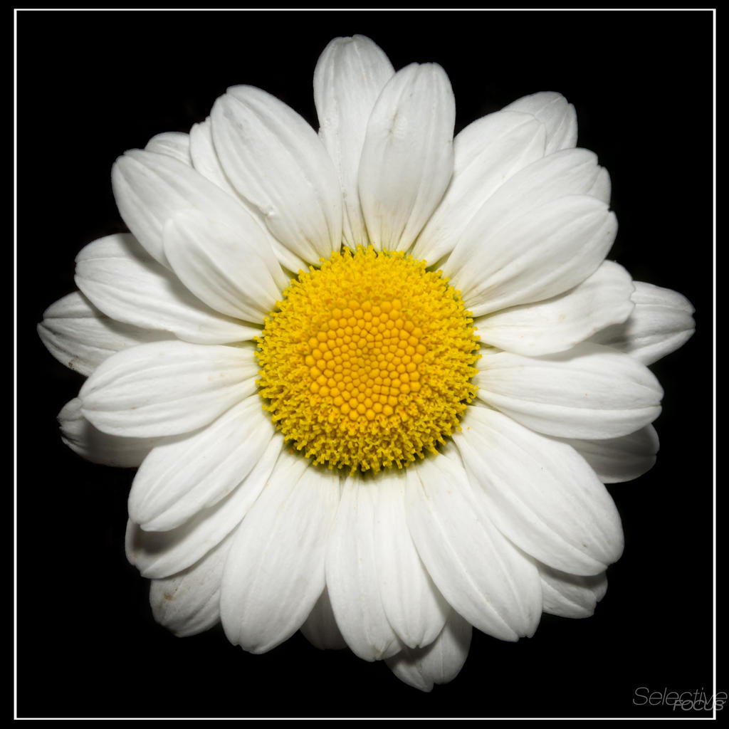 Day133-7.jpg