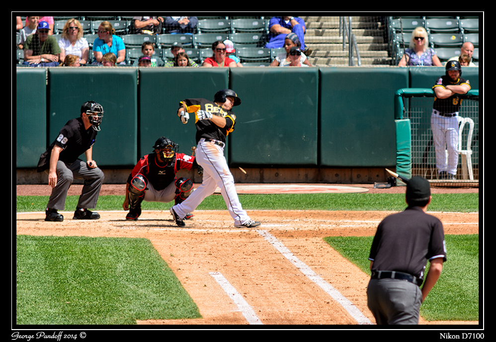Day140BaseballBat.jpg