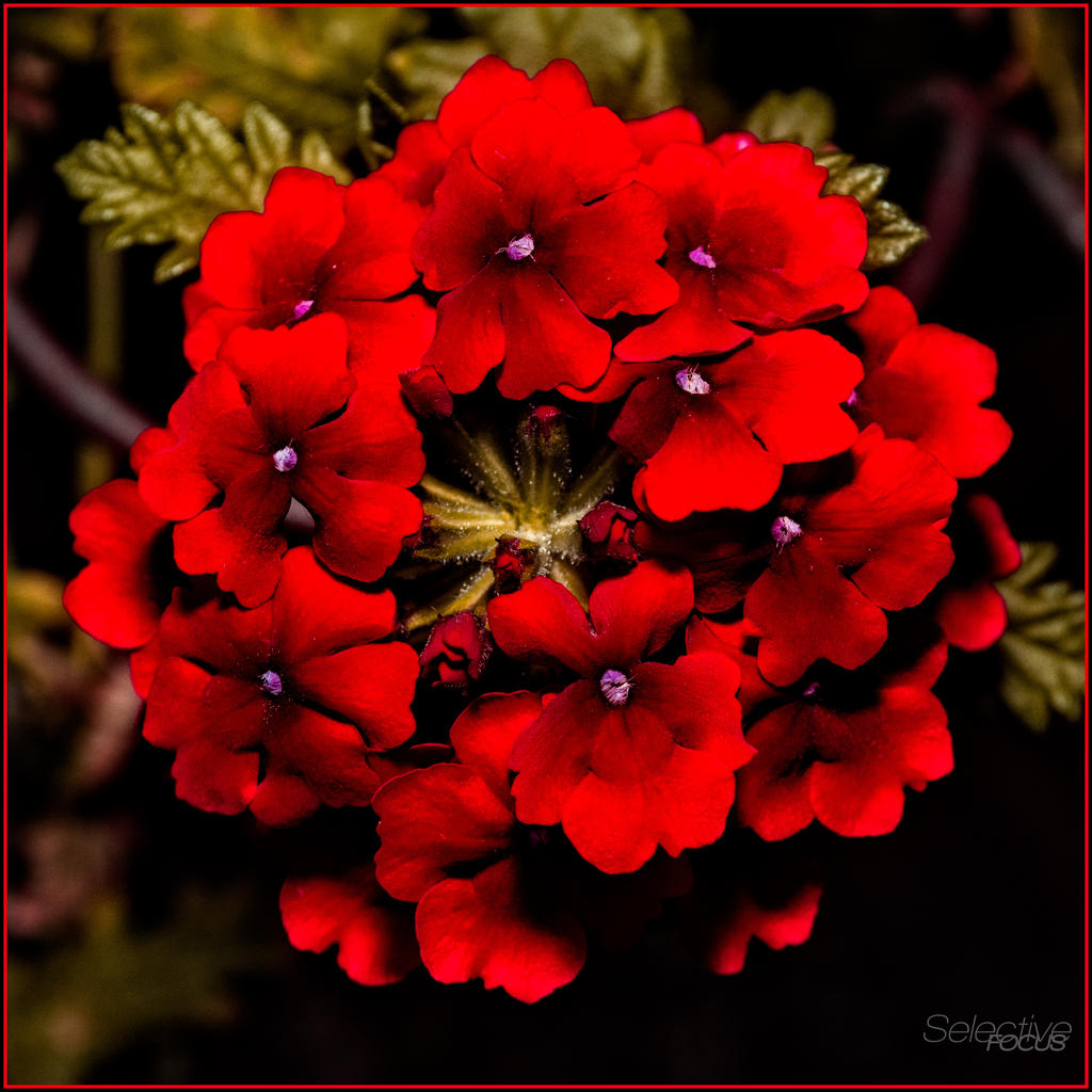 Day142-5.jpg