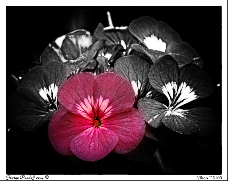 Day148BlackWhiteBlend.jpg