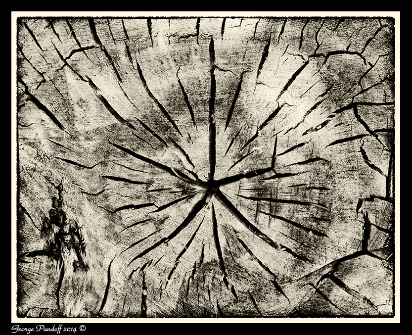 Day153KodakStump.jpg