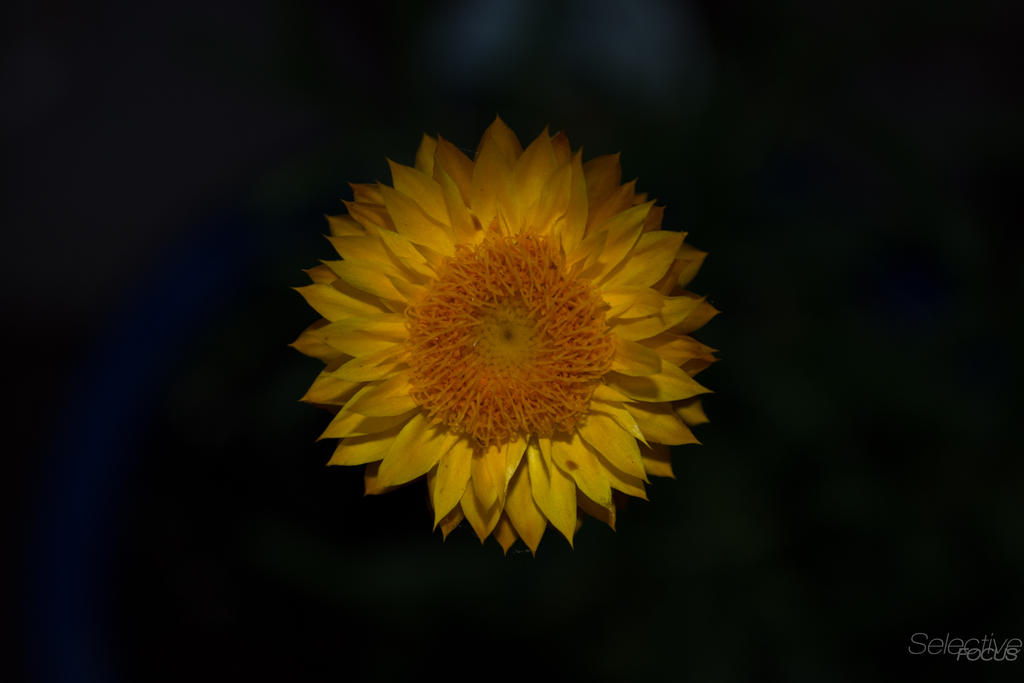 Day169-4.jpg