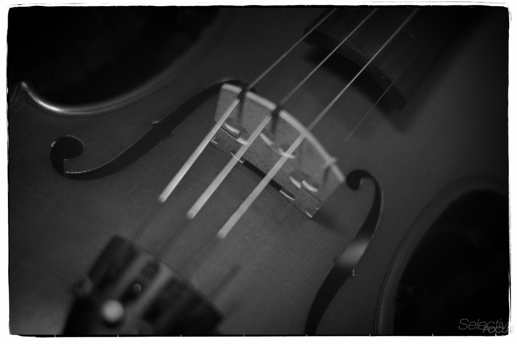 Day173-1.jpg