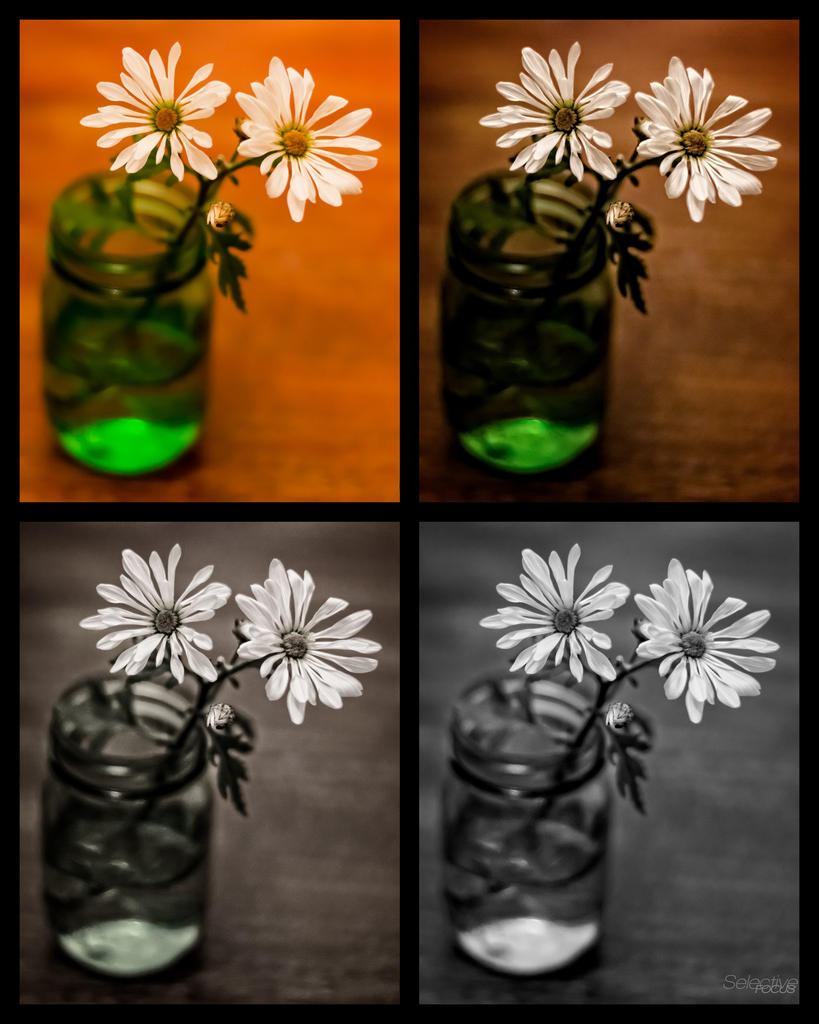 Day174-5.jpg