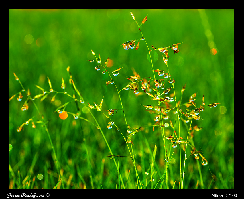 Day174Droplets.jpg