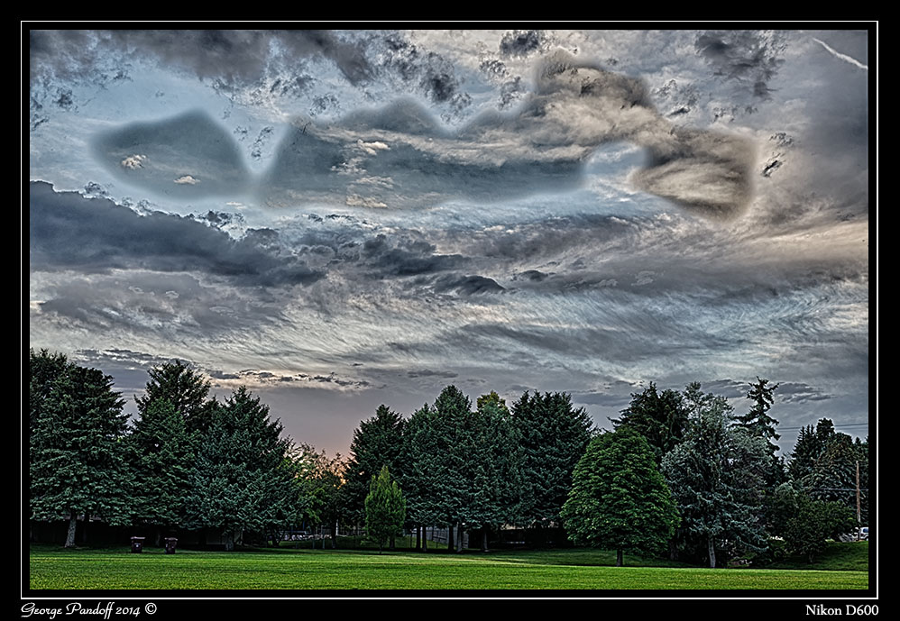 Day175HDR.jpg
