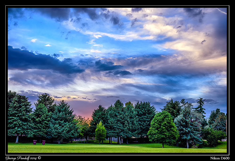 Day175HDR_.jpg