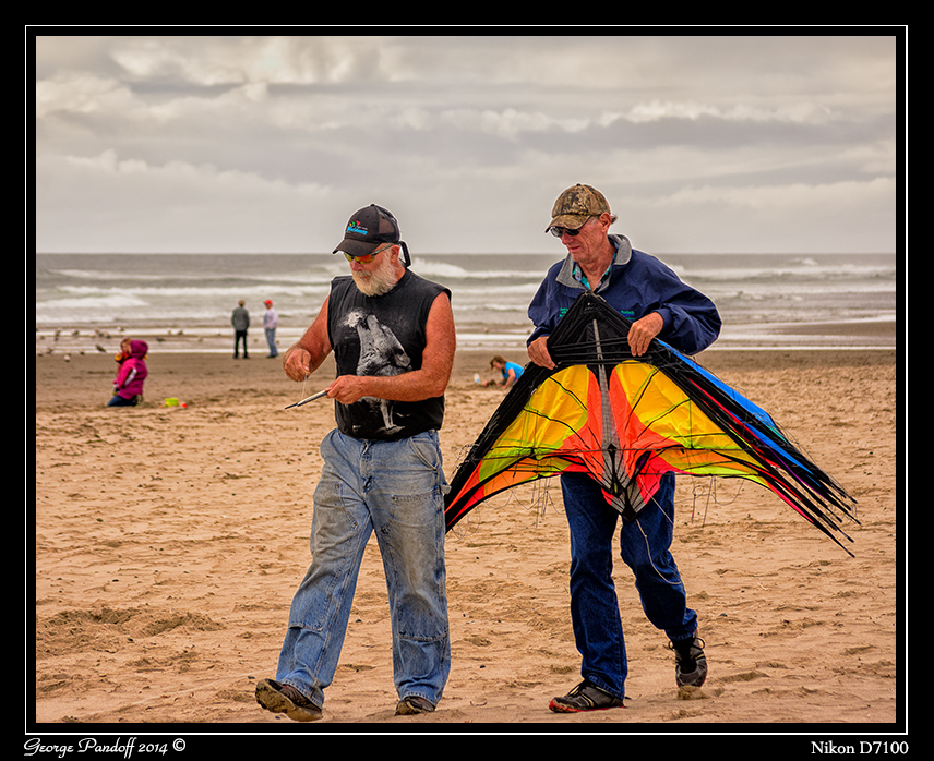 Day178Kites.jpg
