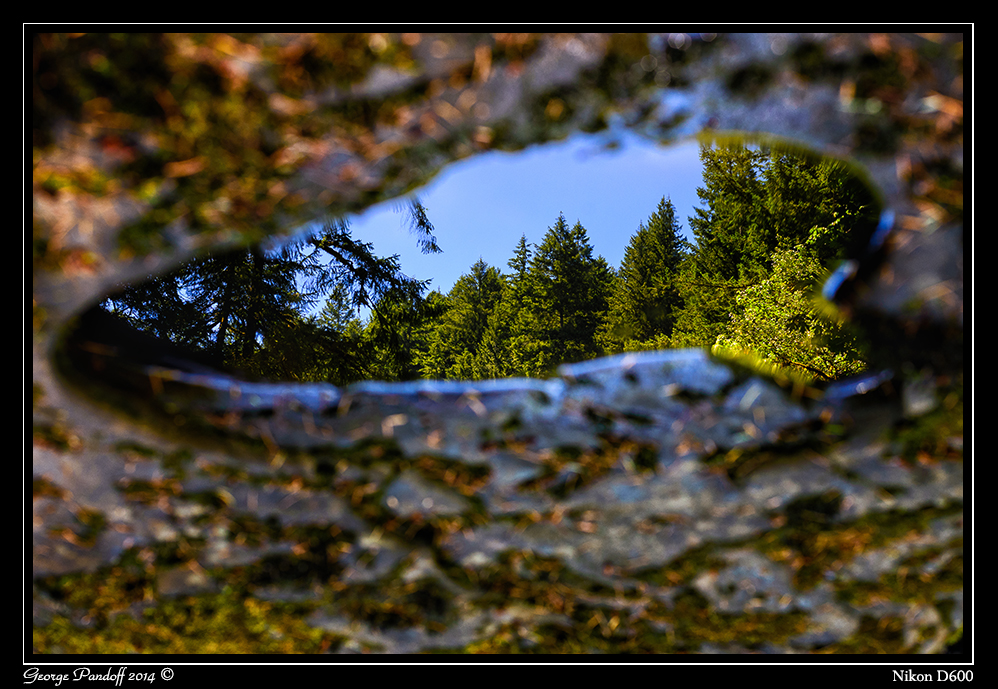 Day182Puddle.jpg