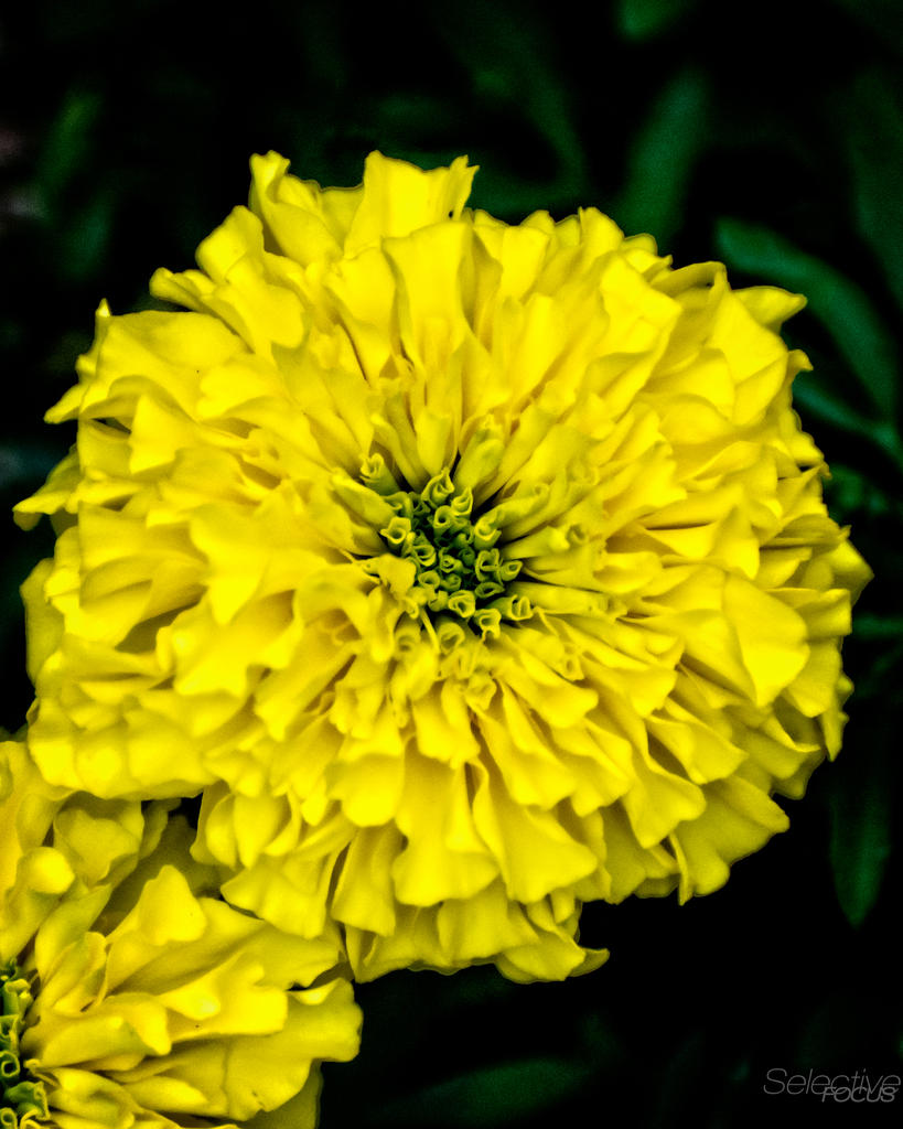 Day183-2.jpg