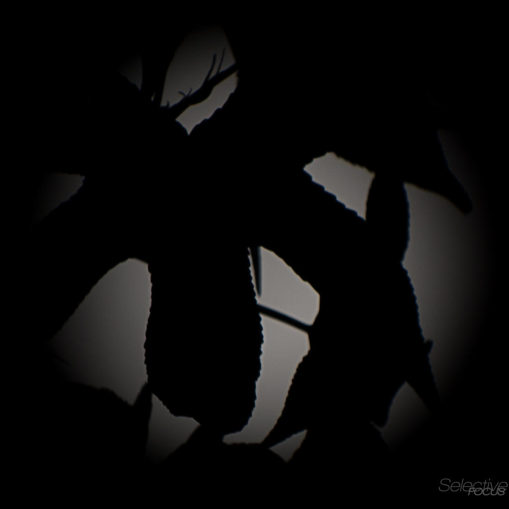 Day193-1.jpg