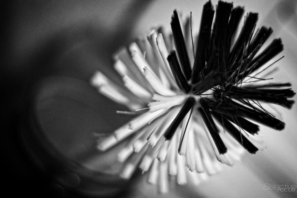 Day198-2.jpg