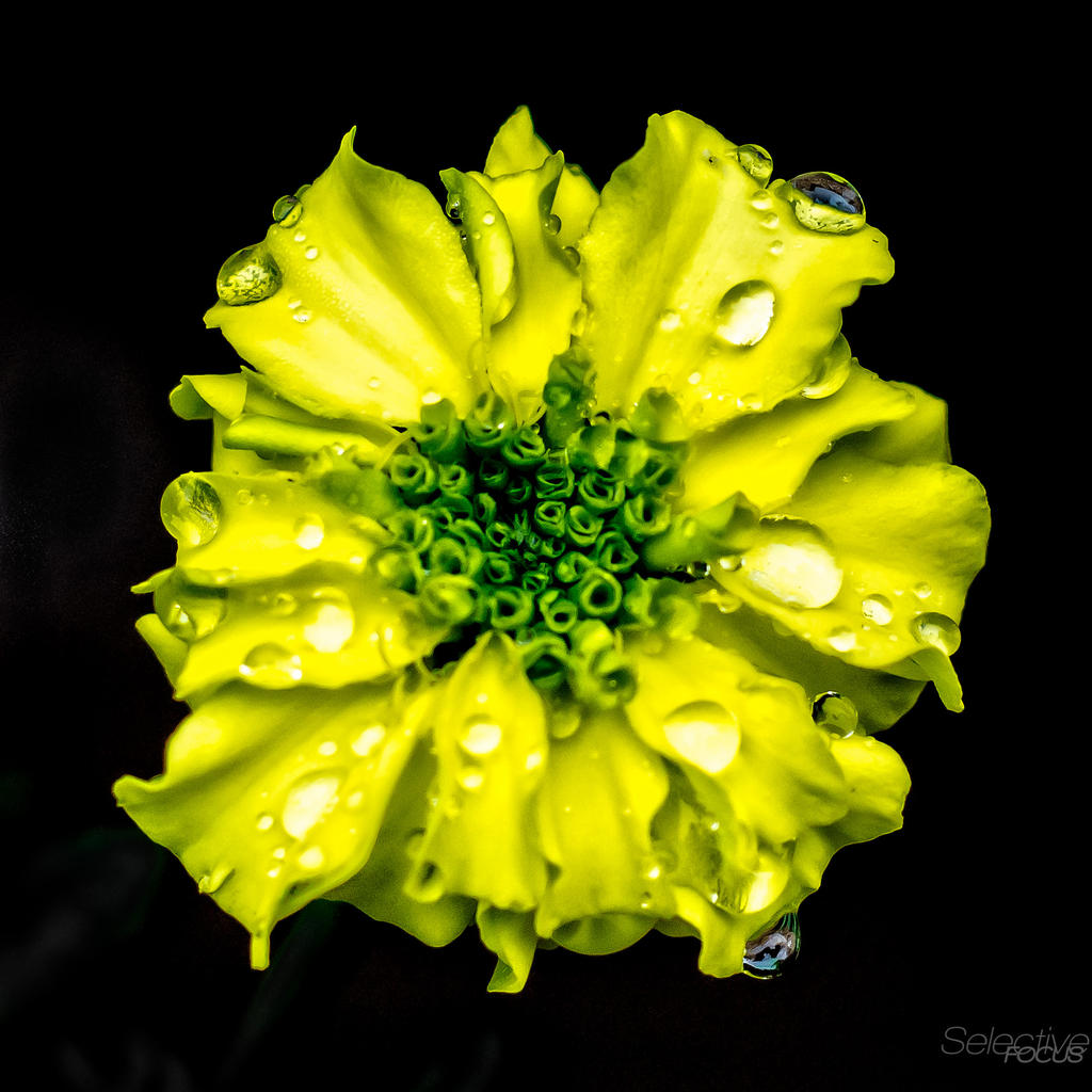 Day199-2.jpg