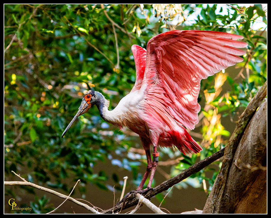 Day19Pink.jpg