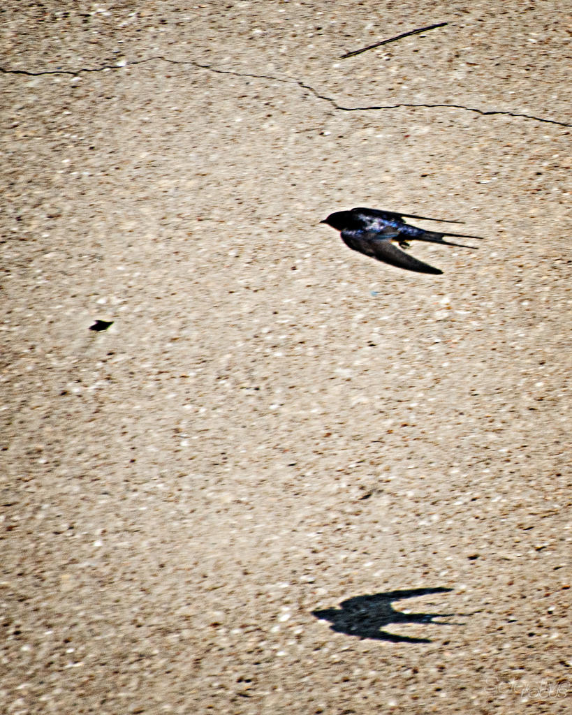 Day203-1.jpg