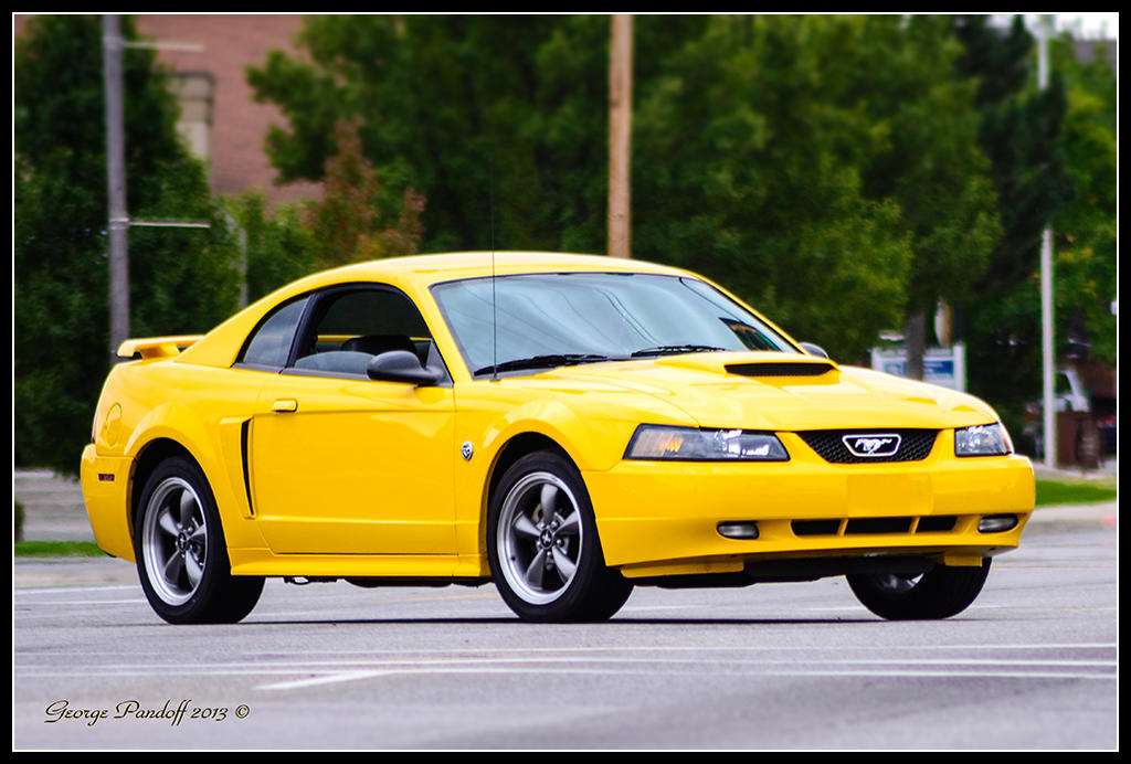 Day267Mustang.jpg
