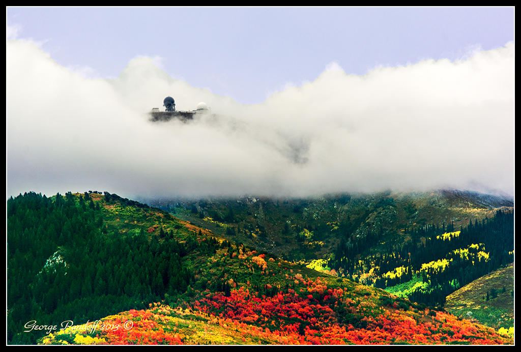 Day276AutumnLeaves.jpg