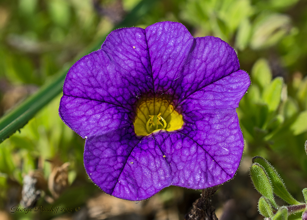 Day281PhotoStack.jpg