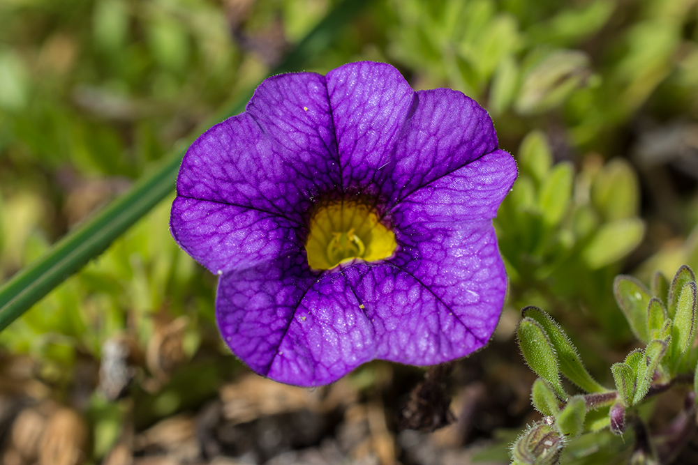 Day281PhotoStack1.jpg